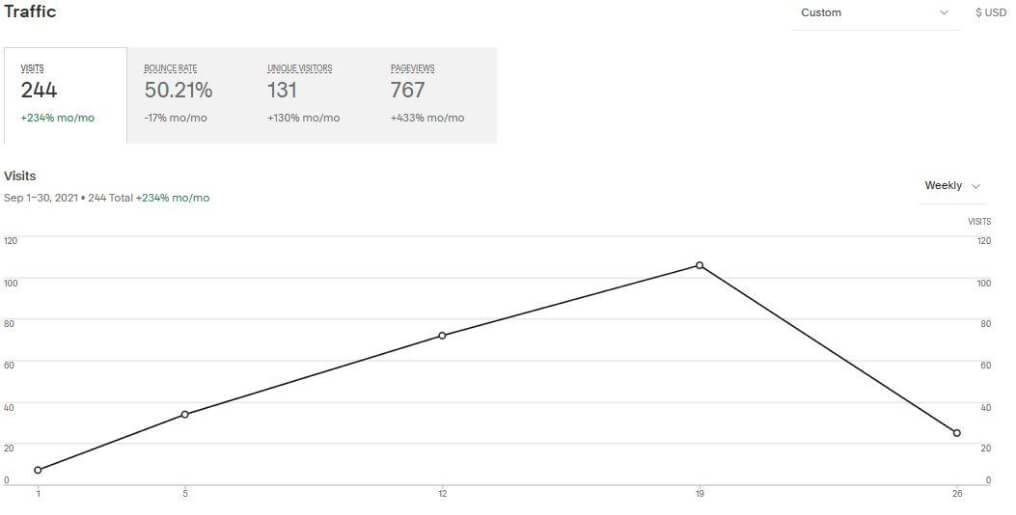 Graph of unique visitors reflecting Sparkle Up Collection’s online reach