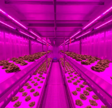 Priva Creating A Climate For Growth