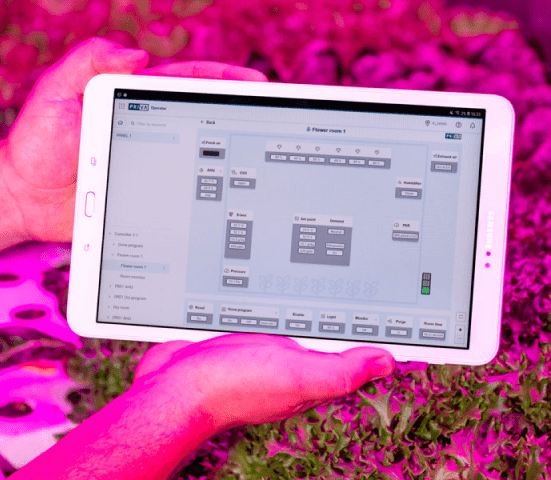 A man holding tablet where the background is pink