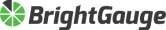 Brightgauge Logo
