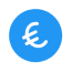 Euro Icon