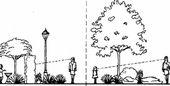 Landscape design-Consider the Function of Plants