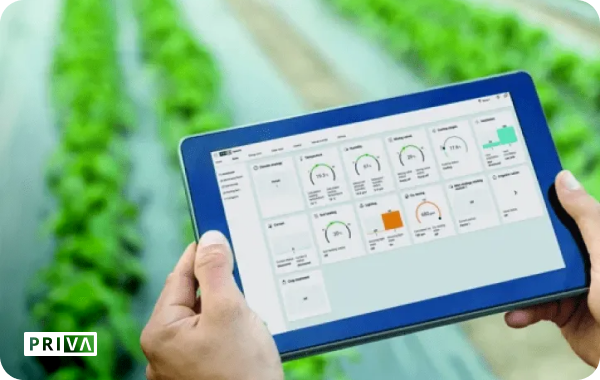 Beverly Security Device