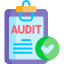 Audit Icon