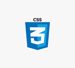 css icon