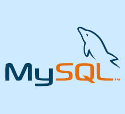 MySQL Icon