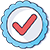 Validation Icon