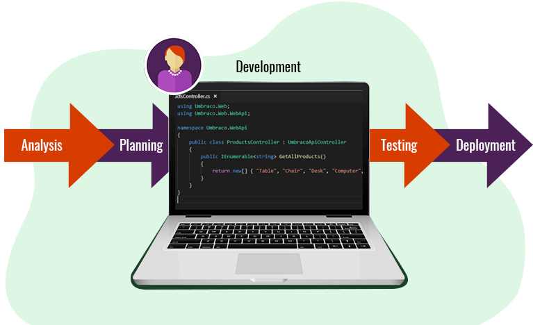Step Umbraco Web Development Process