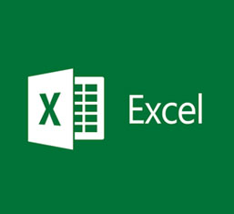 MS Excel