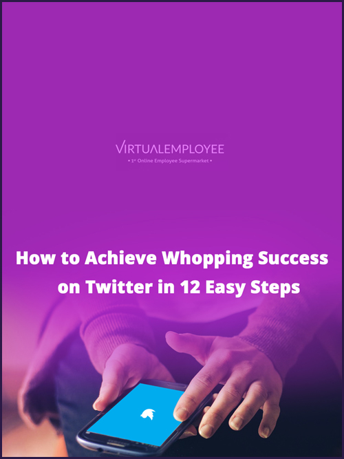 How to Achieve Whopping Success on Twitter in 12 Easy Steps