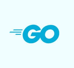 Golang icon