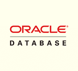 Oracle Database logo