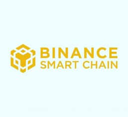 Binance Smart Chain Logo
