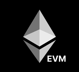 EVM Chains Logo