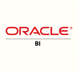 Oracle BI Logo