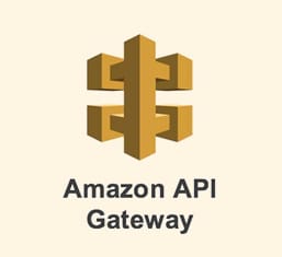 AWS-API-Gateway iocn