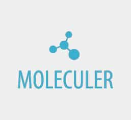 Moleculer