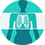 X-rays
