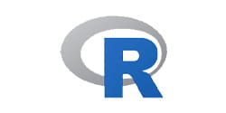 R logo