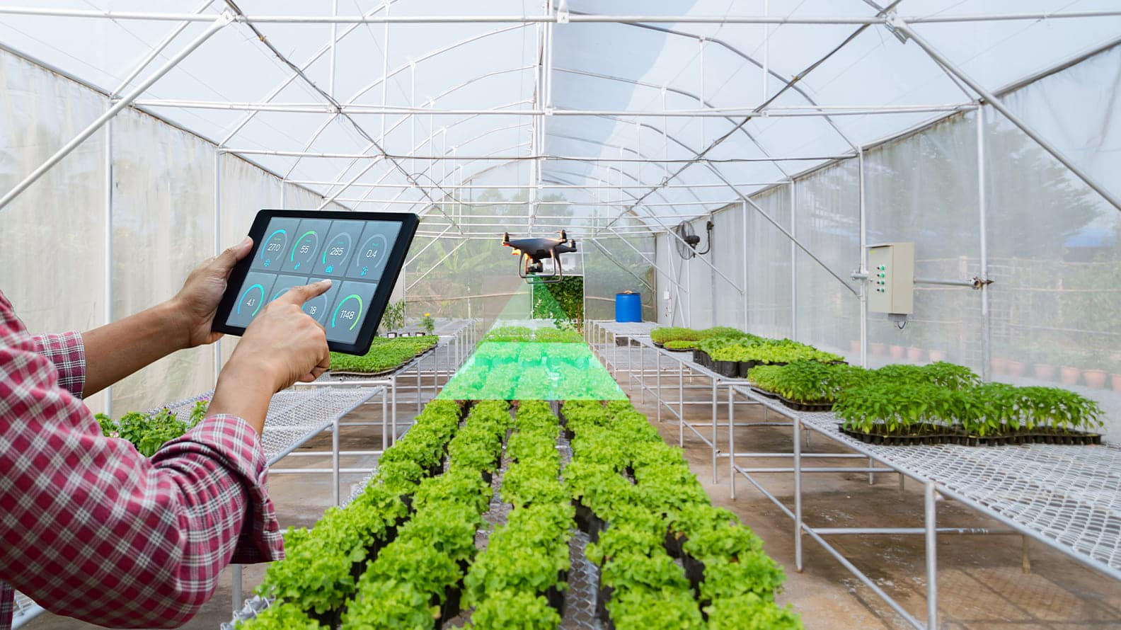 Growing More with Less: How AgriTech Automation and Remote R&D Are Rewriting the Economics of Food Production