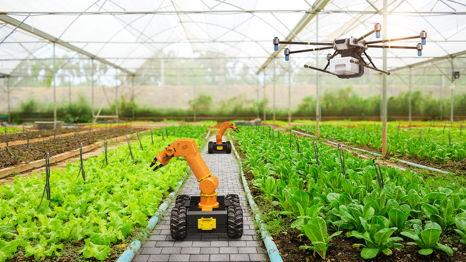 Why Robotics Should Not Be Framed as Labor-Saving Technology First in Hydroponic Farming